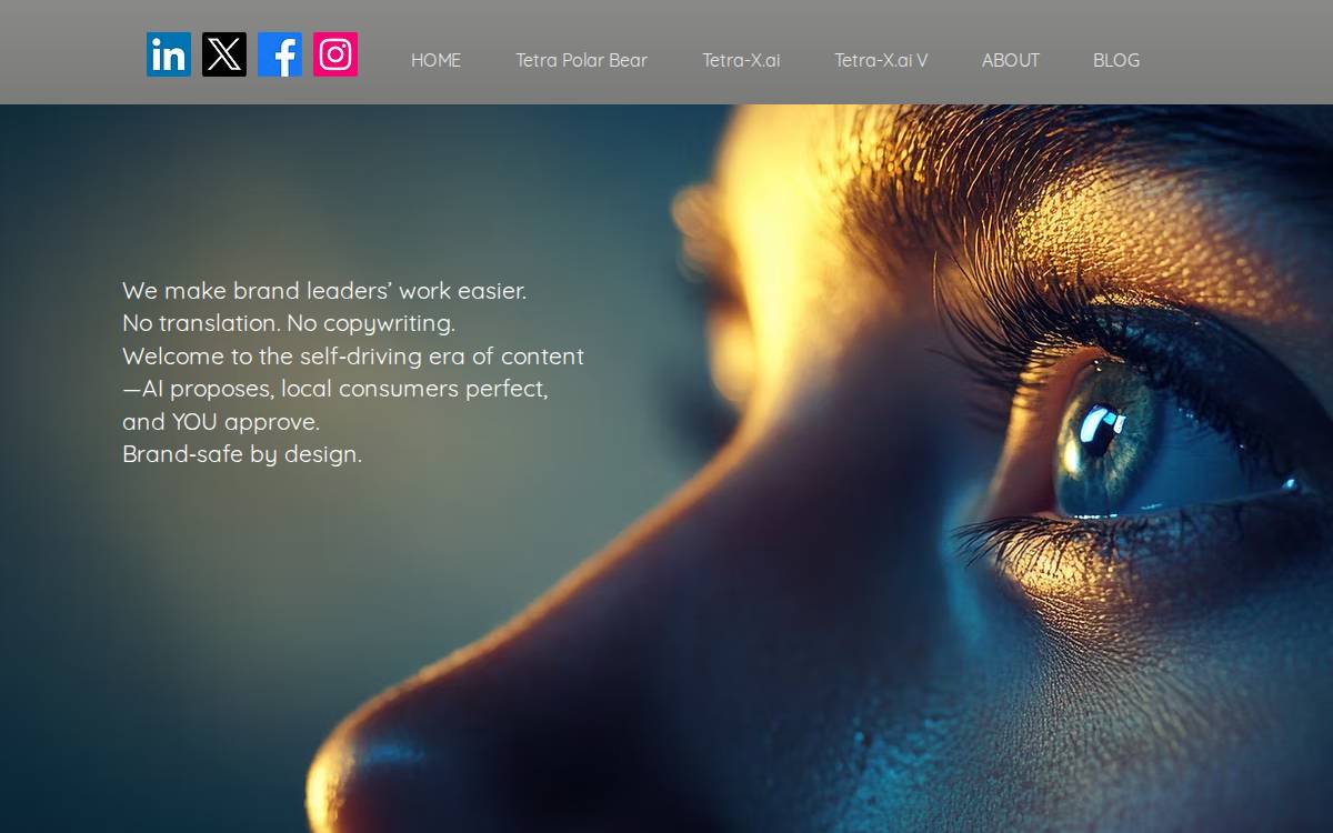 Tetra Tokyo株式会社 website preview
