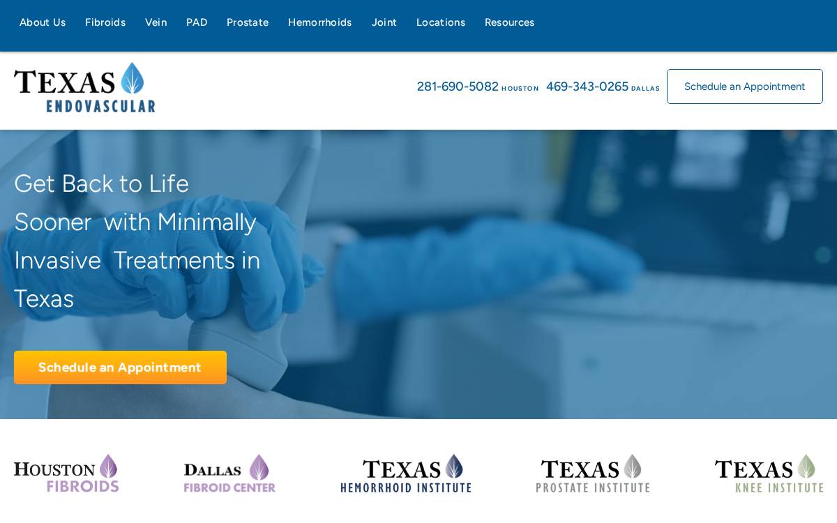 Texas Endovascular website preview
