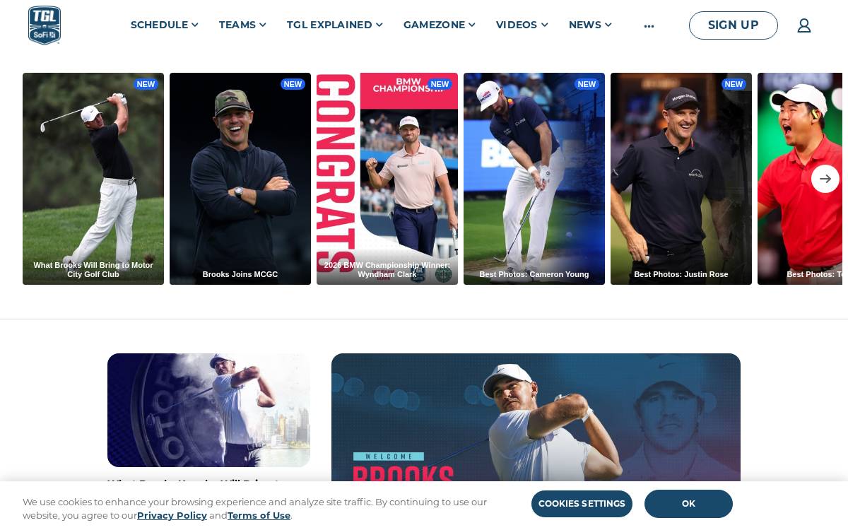 TGL website preview