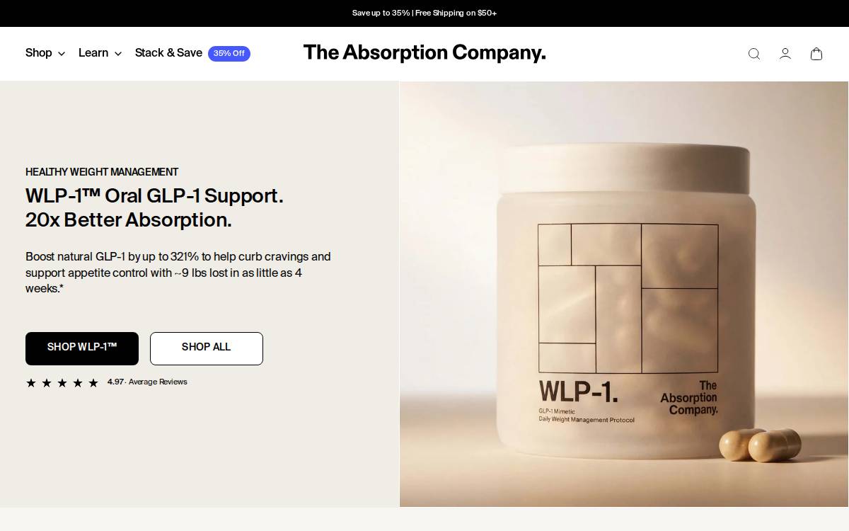 The Absorption Company website preview