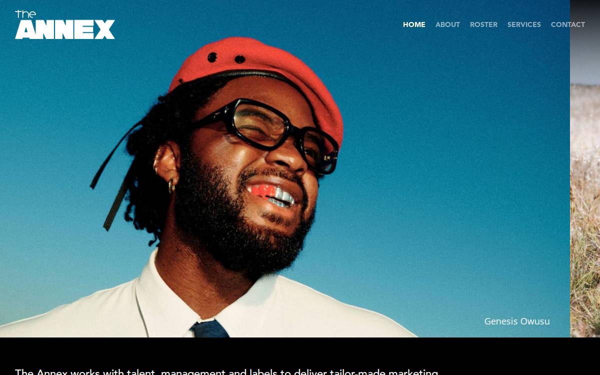 The Annex website preview