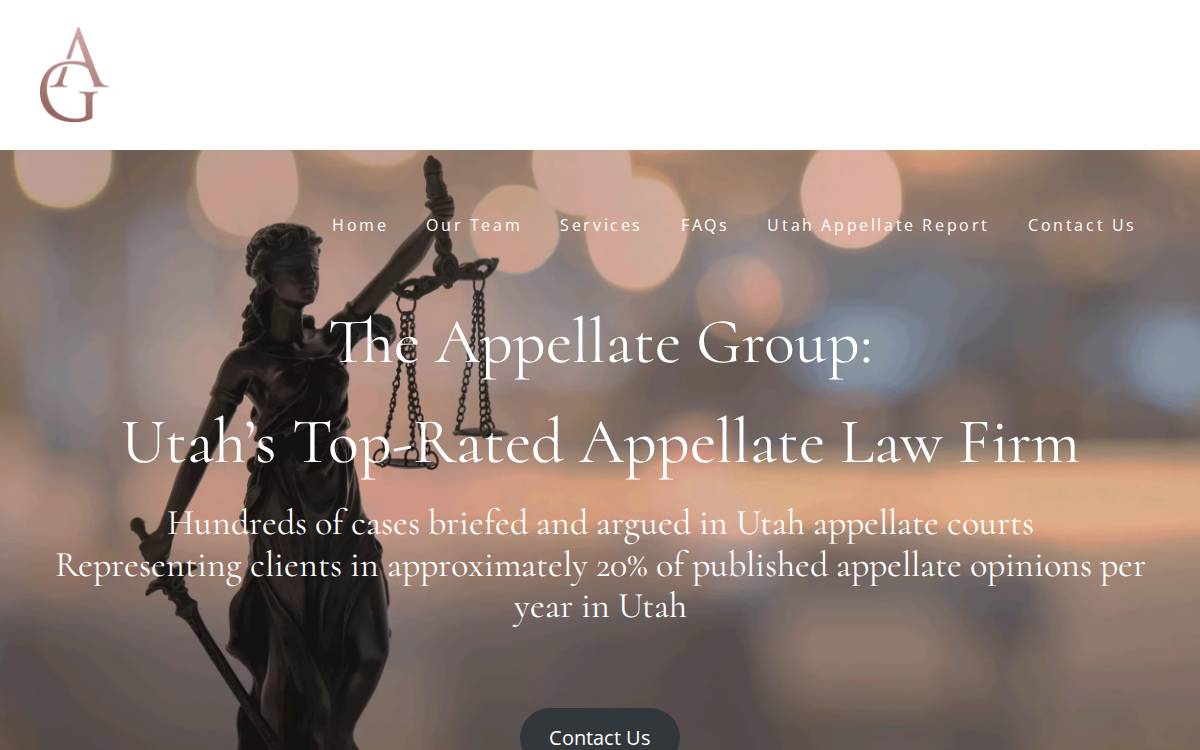 The Appellate Group website preview