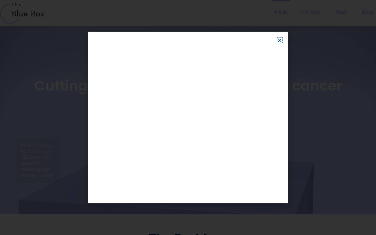 The Blue box website preview