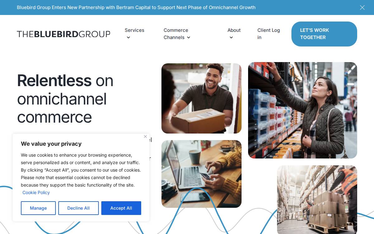 The Bluebird Group website preview