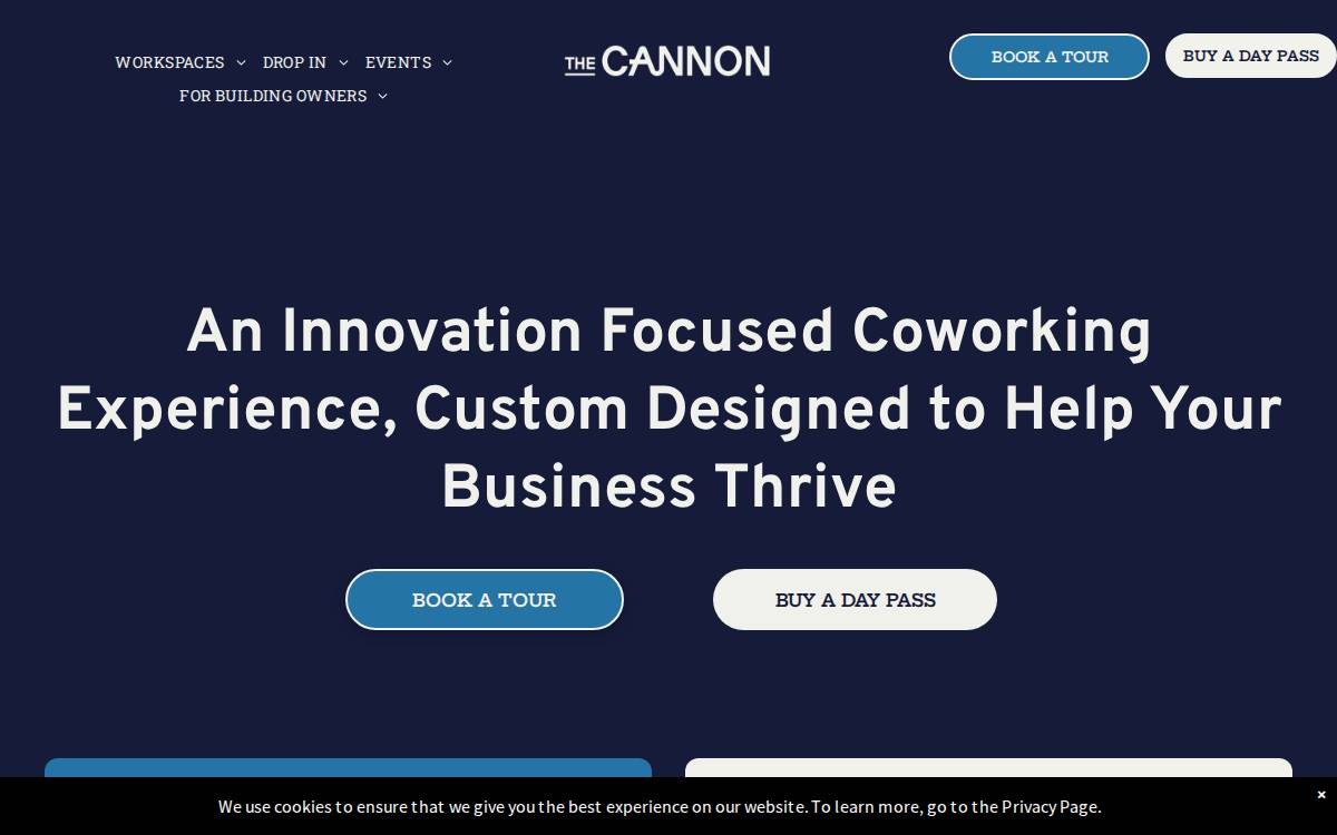 The Cannon website preview