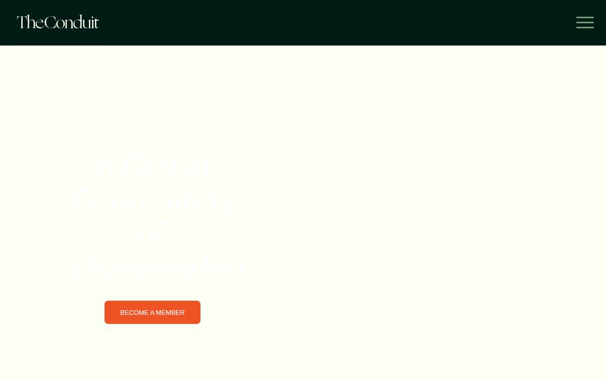The Conduit website preview