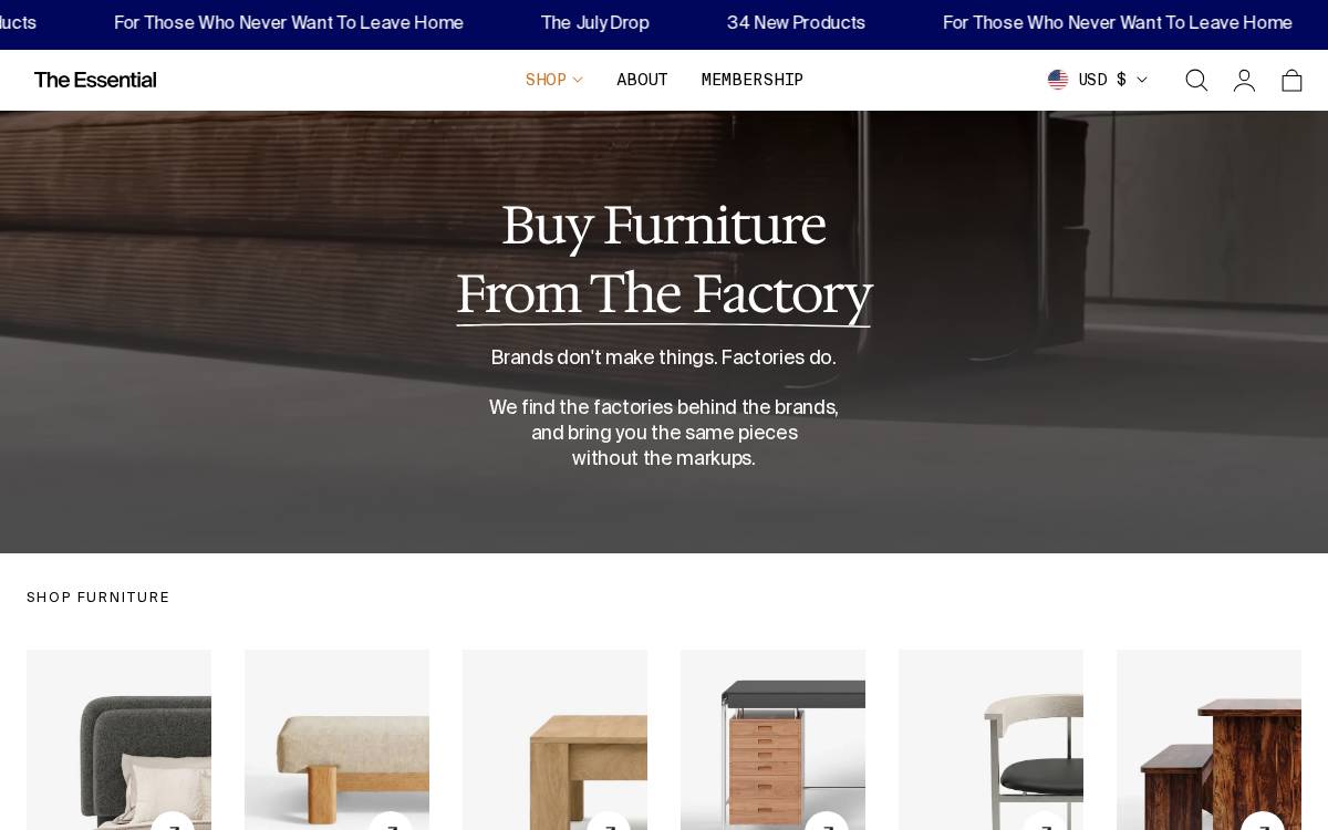 The Essential website preview