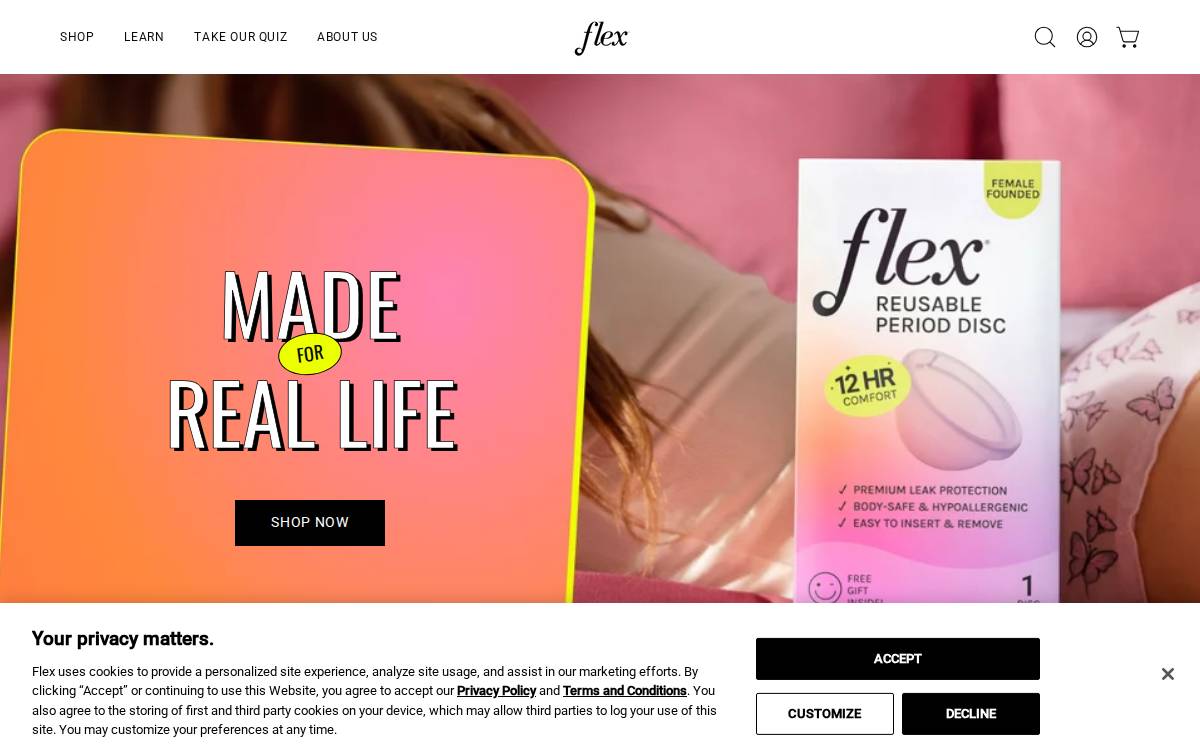 The Flex Company website preview