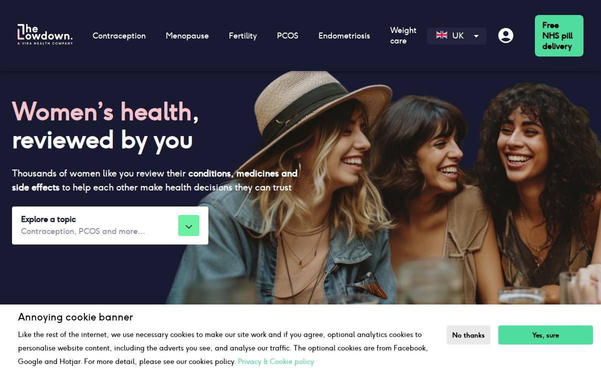 The Lowdown website preview