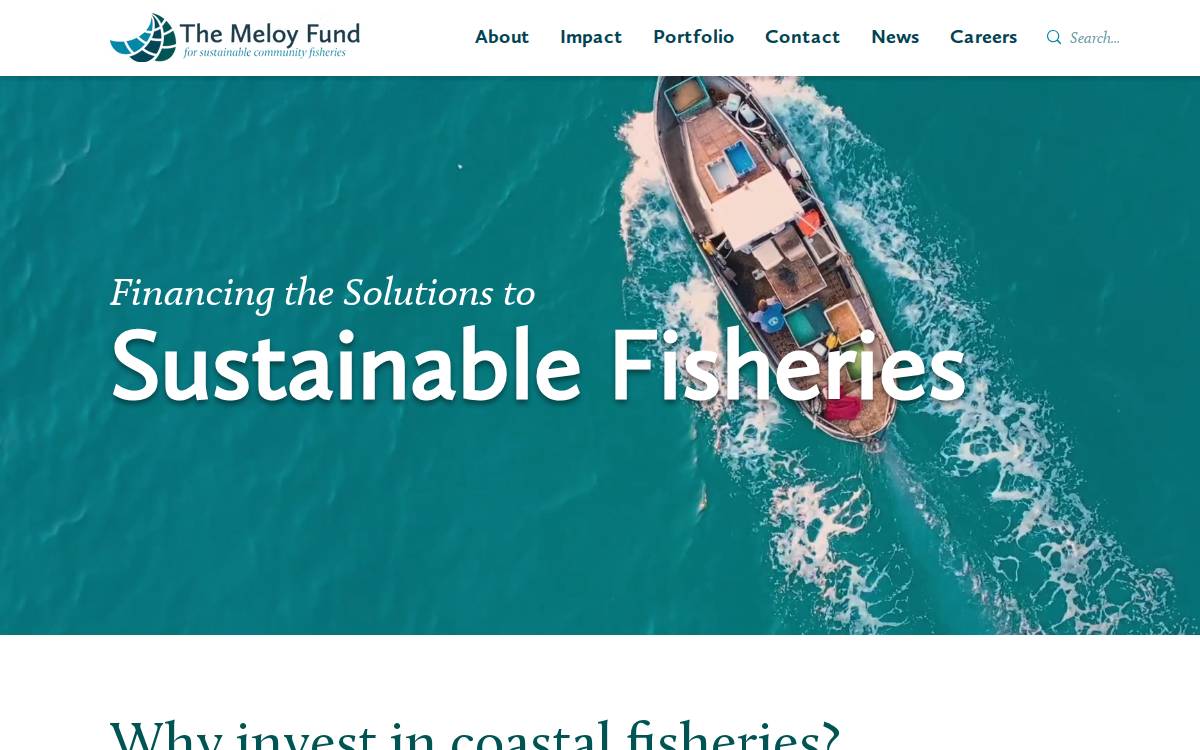 The Meloy website preview