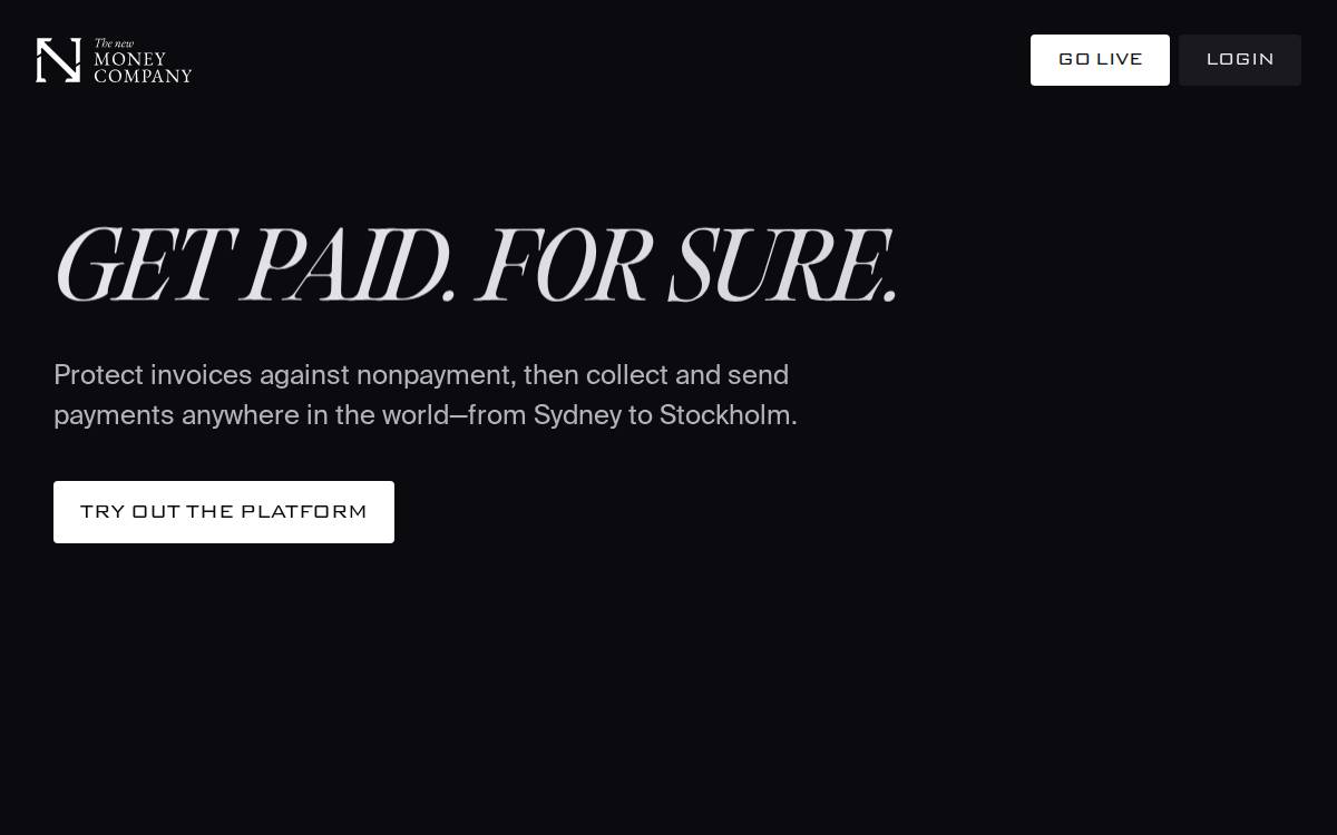 The New Money Company website preview
