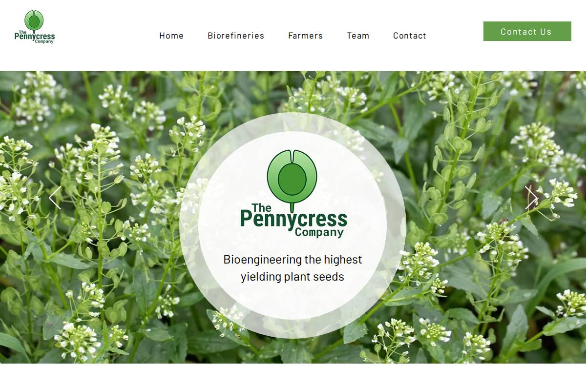 The Pennycress Company website preview