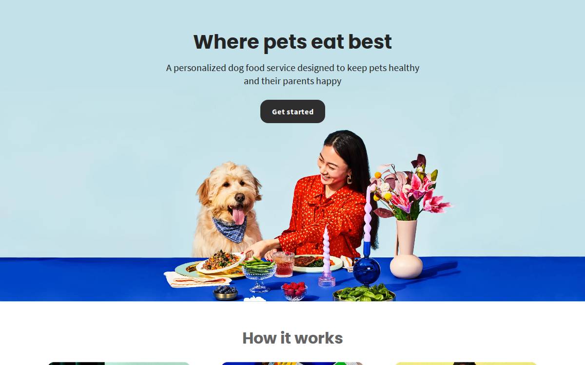 The Pets Table website preview