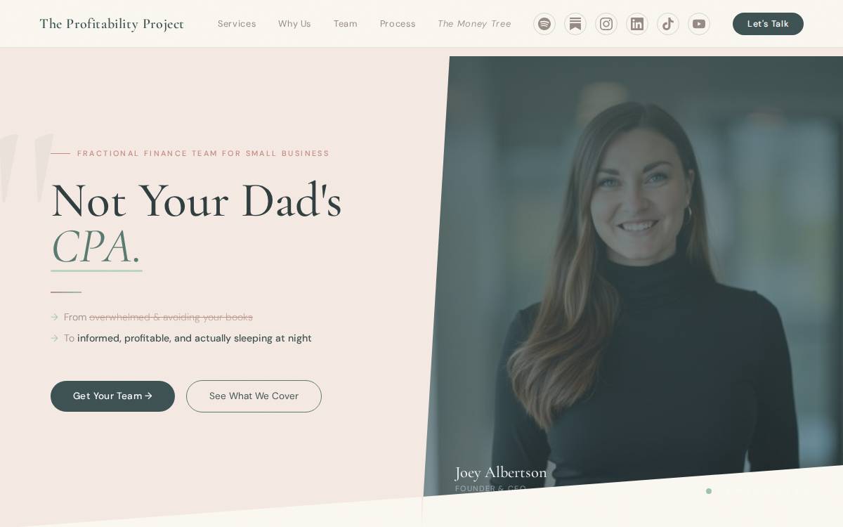 The Profitability Project website preview