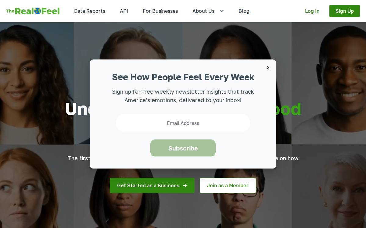The Real Feel website preview