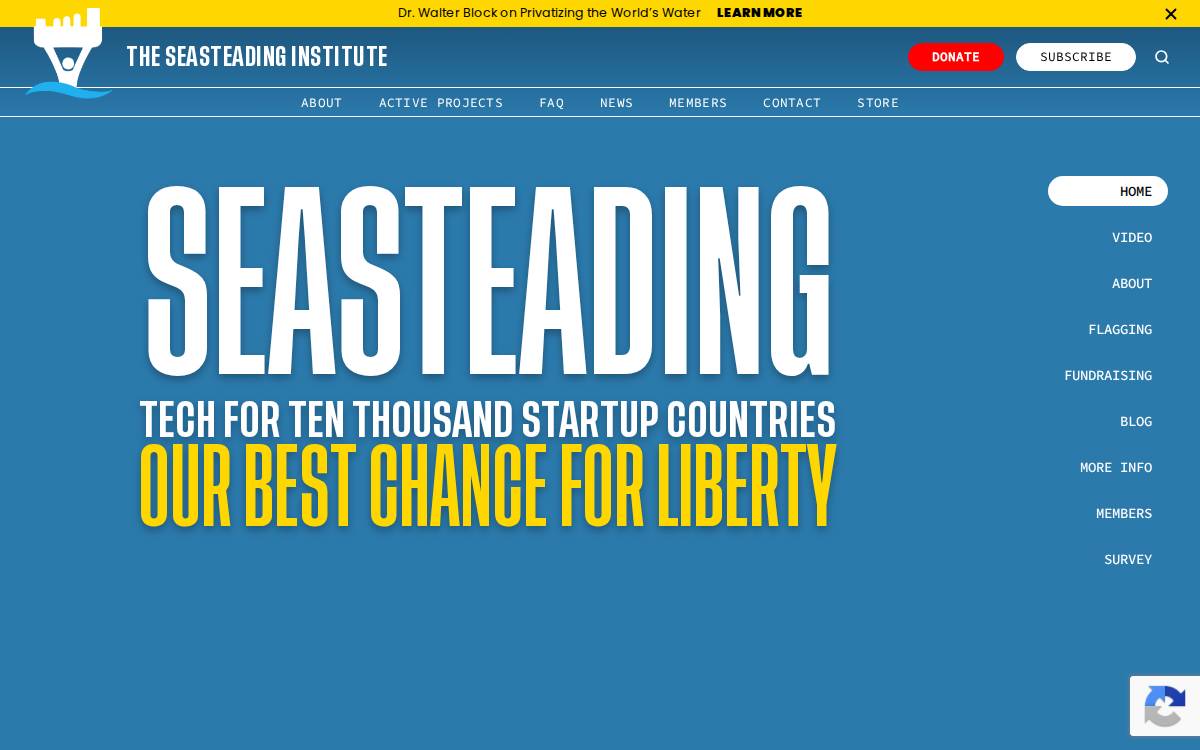 The Seasteading Institute website preview