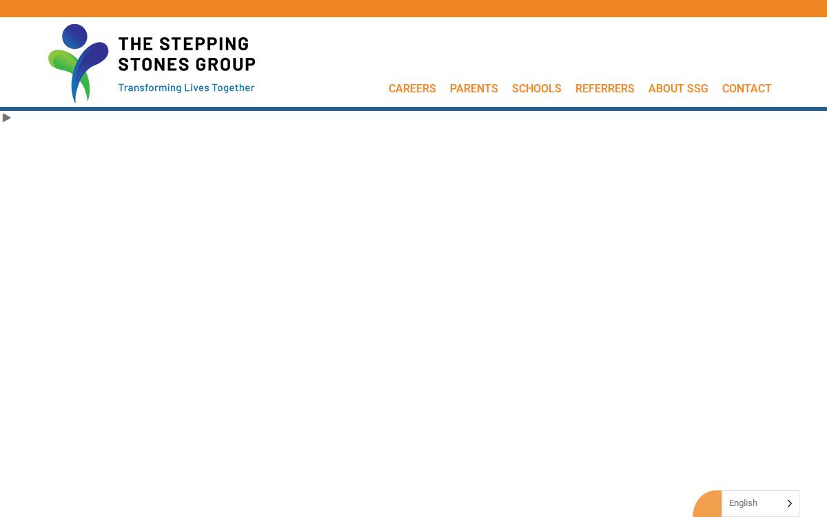 The Stepping Stones Group website preview