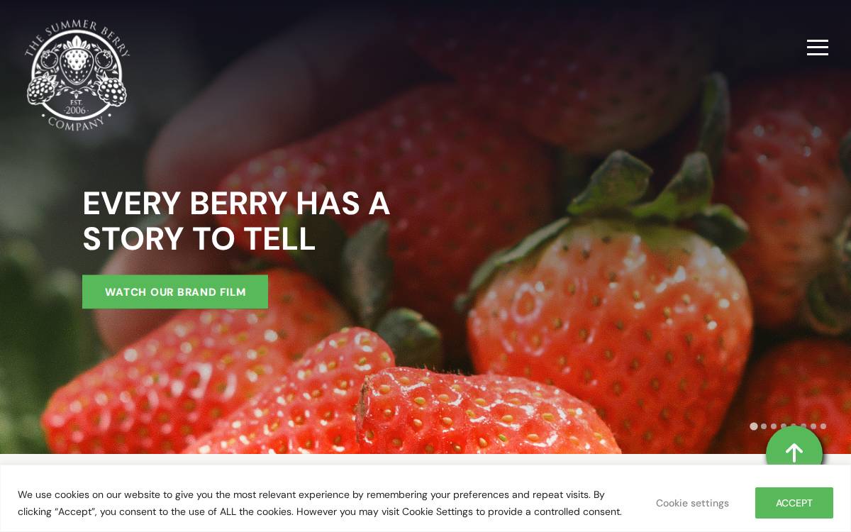 The Summer Berry Co. website preview