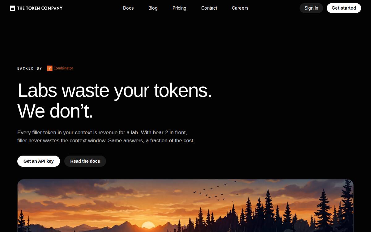 The Token Company website preview