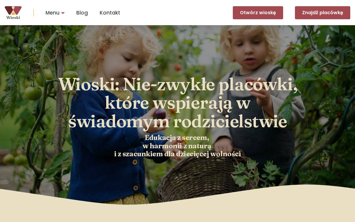 The Village website preview