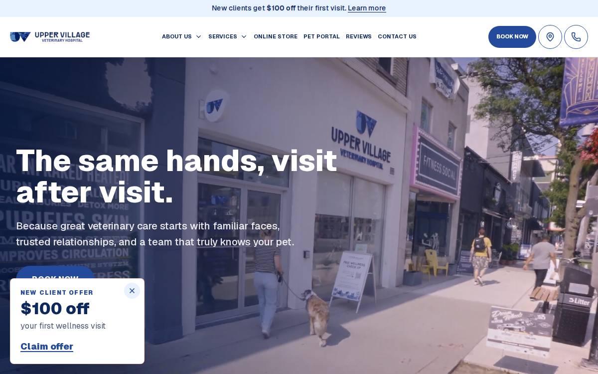 The Village Vet website preview