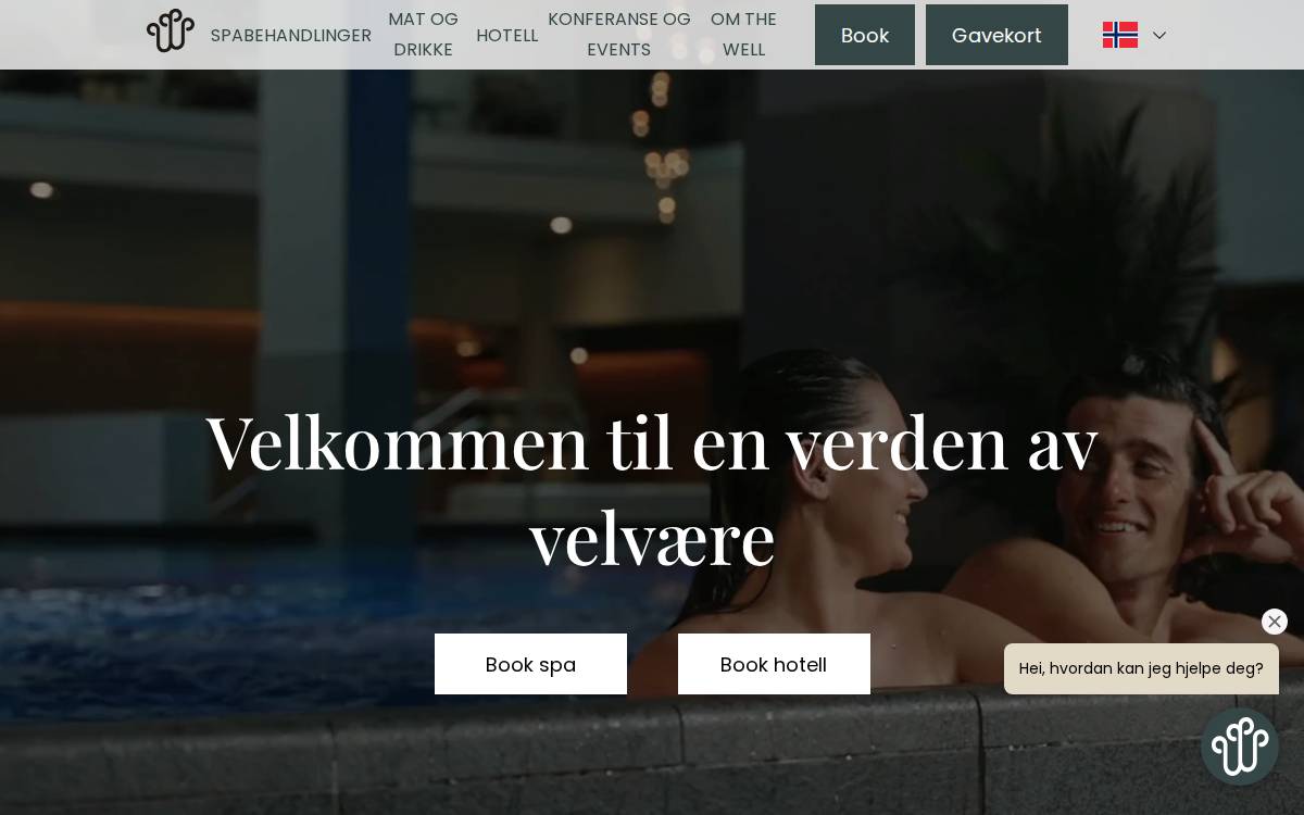 The Well website preview
