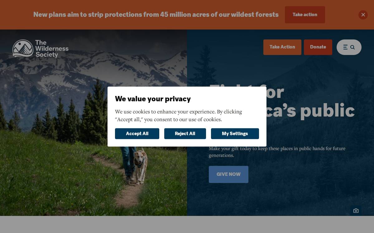 The Wilderness Society website preview