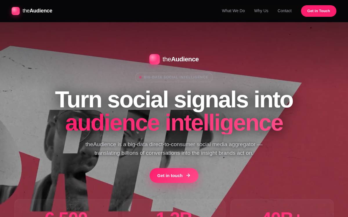 Theaudience website preview
