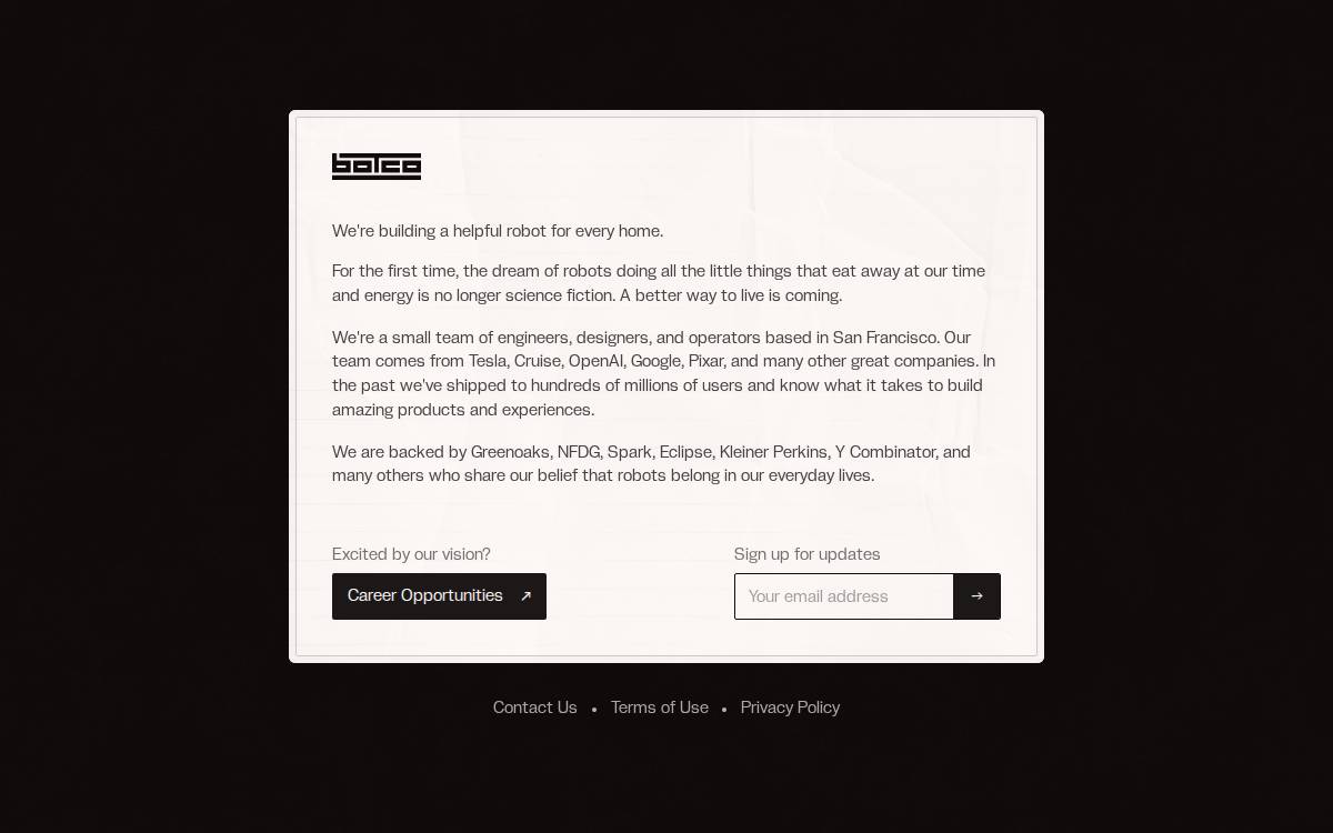 TheBotCompany website preview