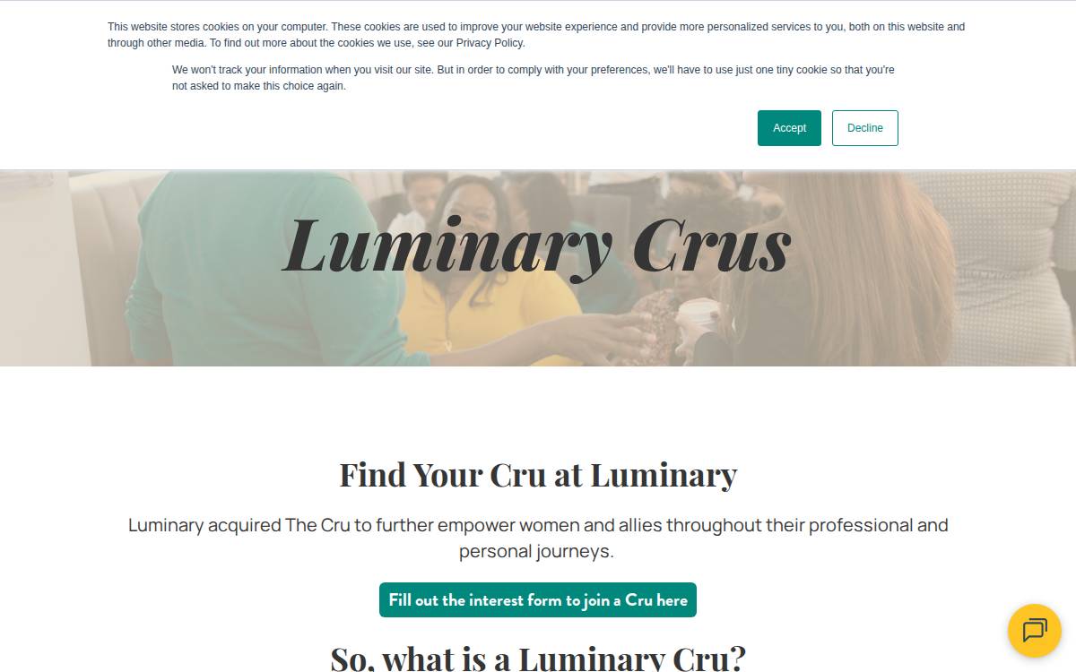 Thecru website preview