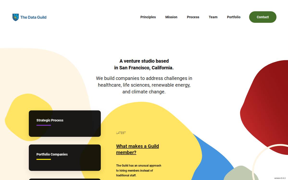 Thedataguild website preview