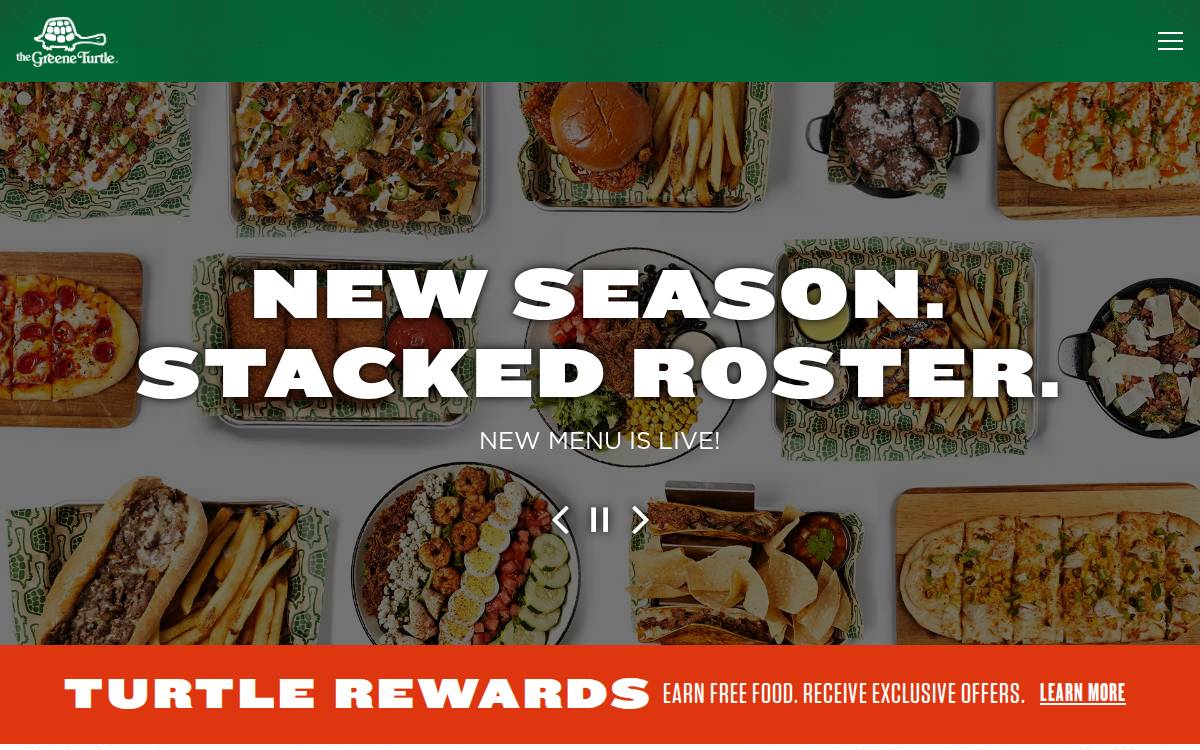 Thegreeneturtle website preview