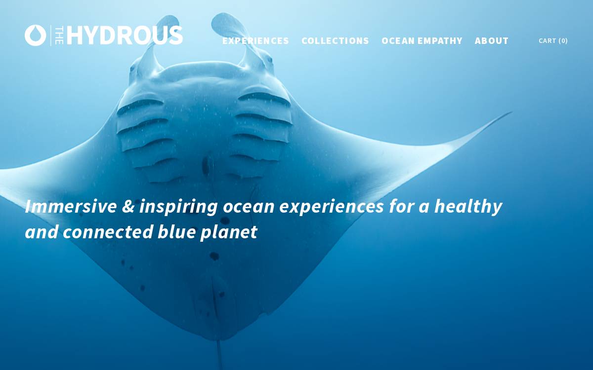 Thehydro website preview