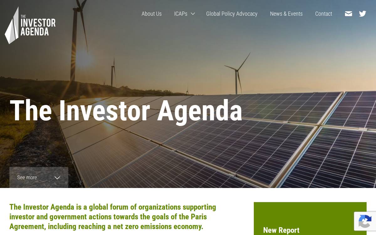 Theinvestoragenda website preview