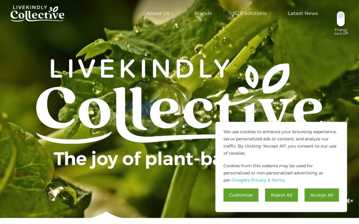 Thelivekindlyco website preview