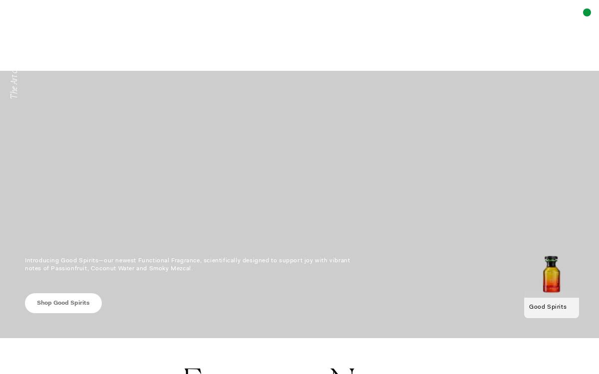 The Nue Co website preview