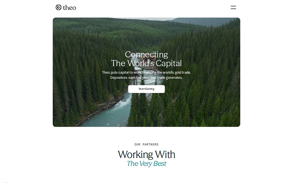 Theo website preview