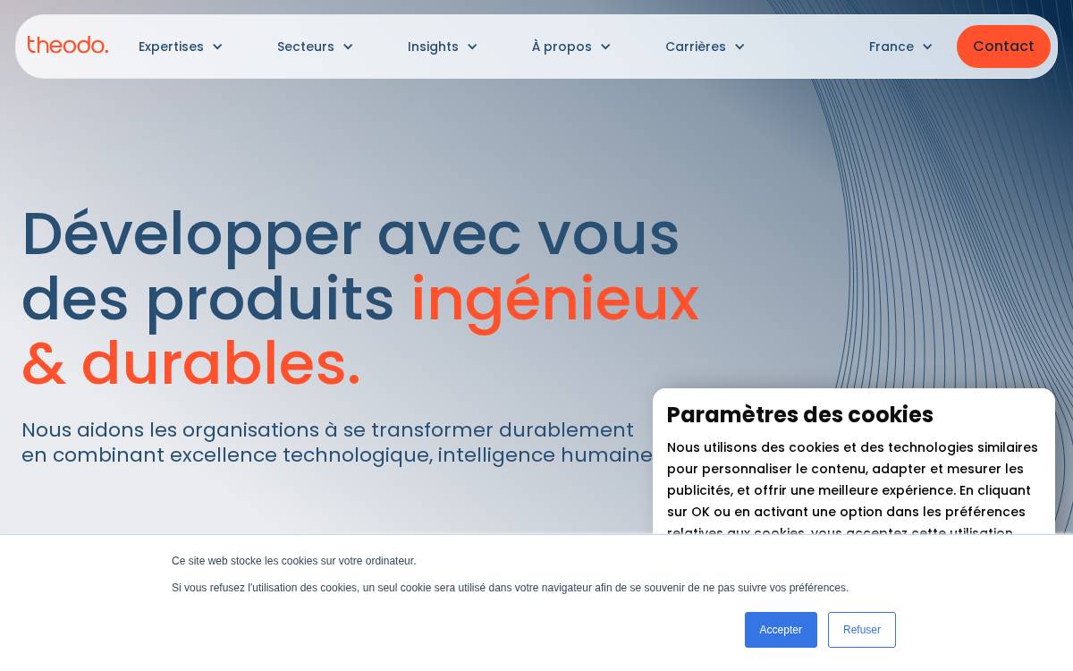 Theodo website preview