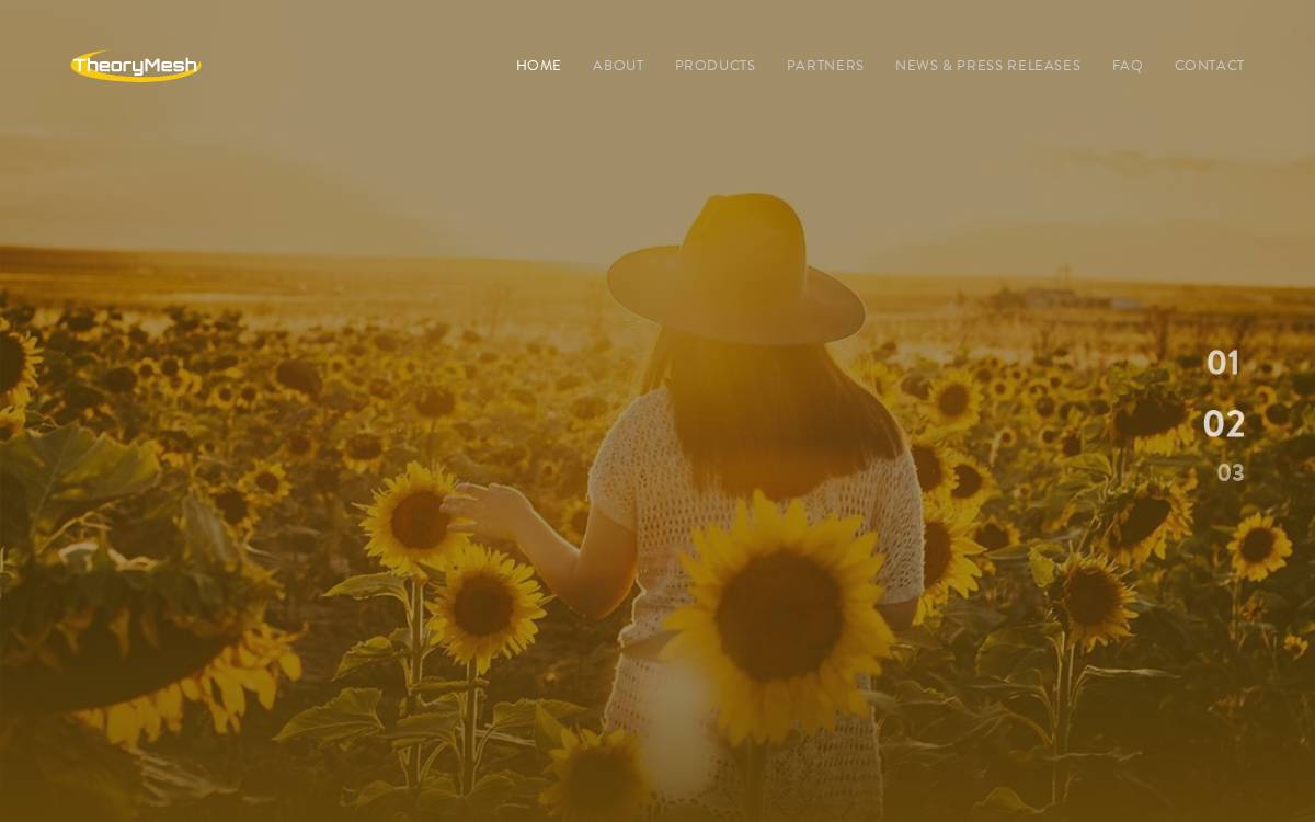 TheoryMesh website preview
