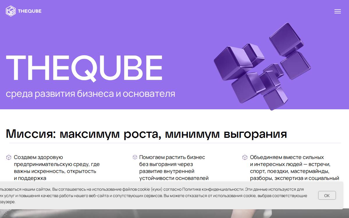 Theqube website preview