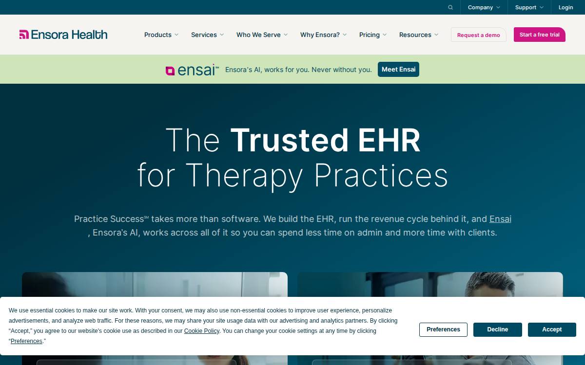 Therapy Brands website preview