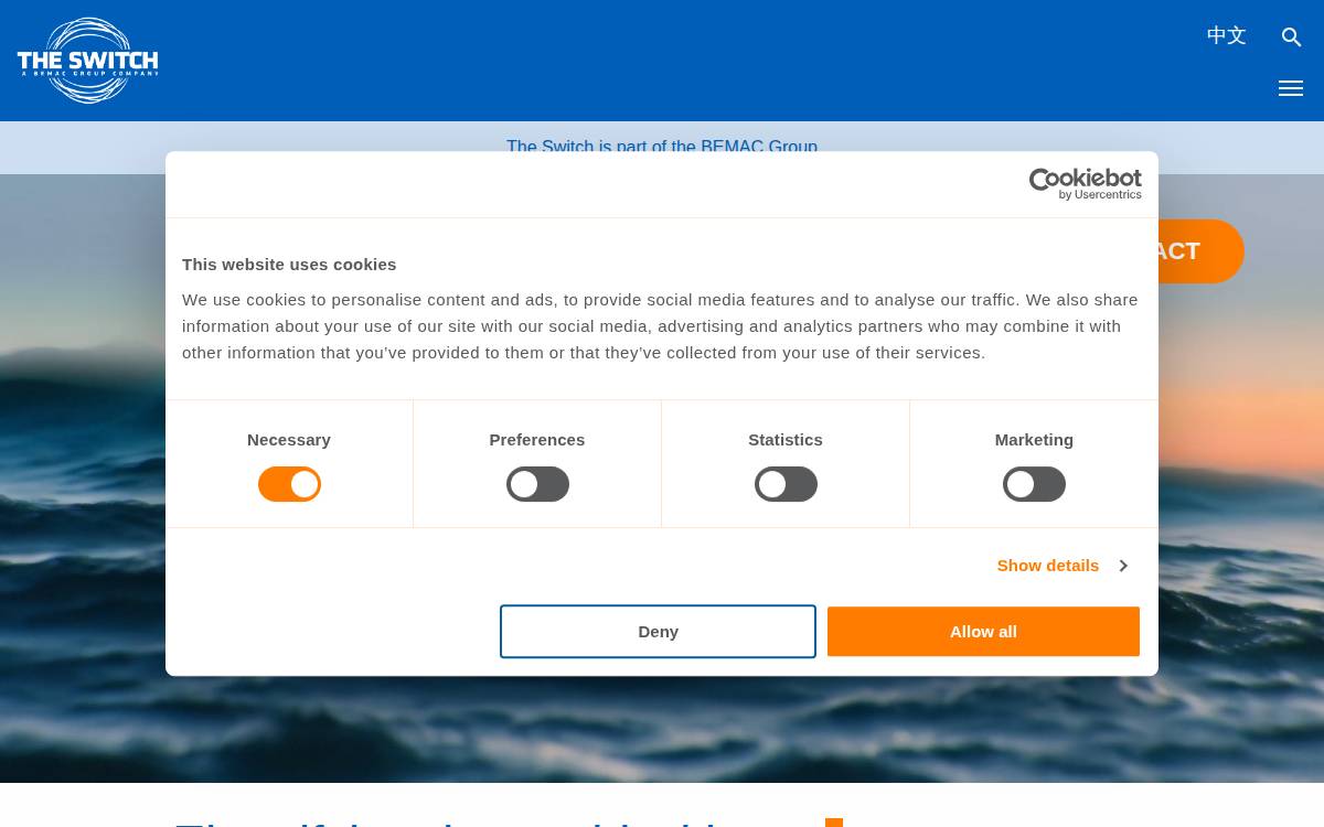 Theswitch website preview