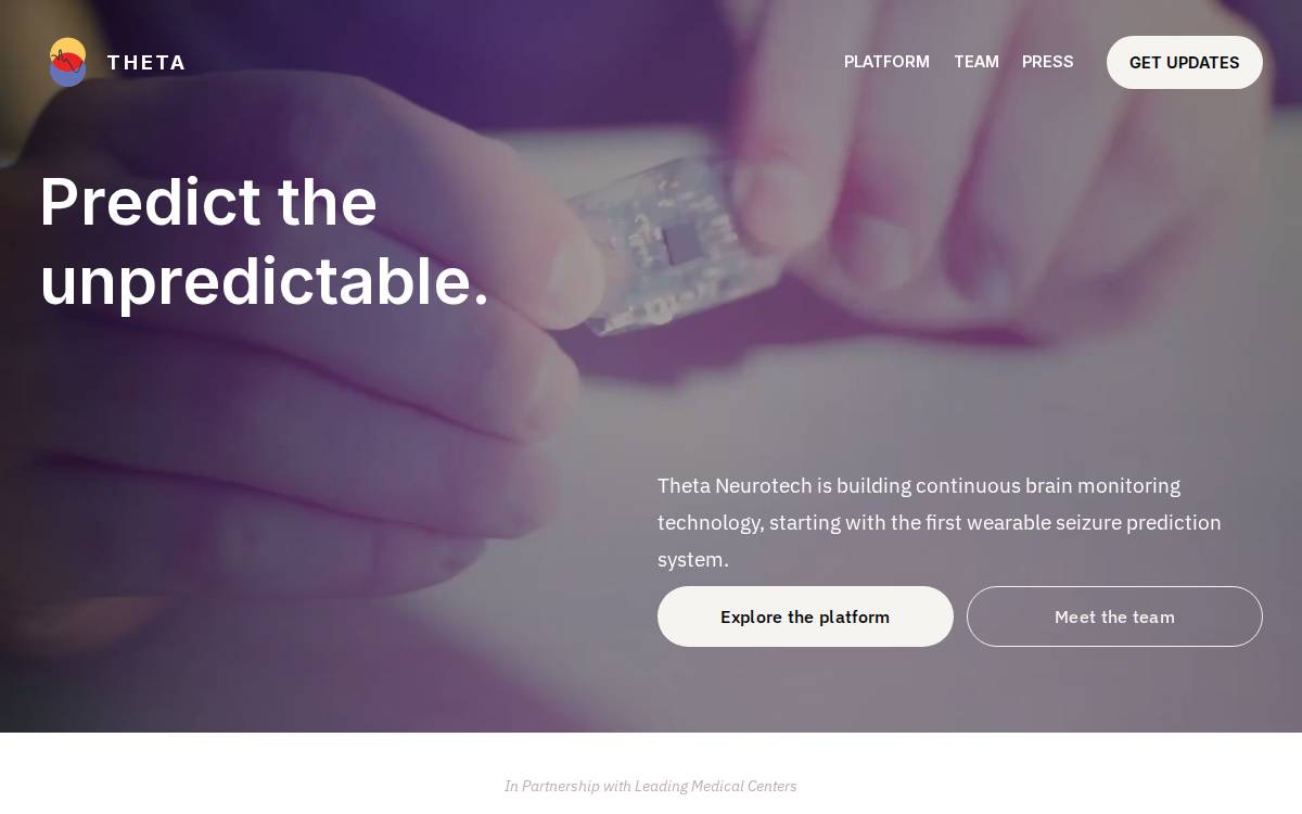 Theta Neurotech website preview