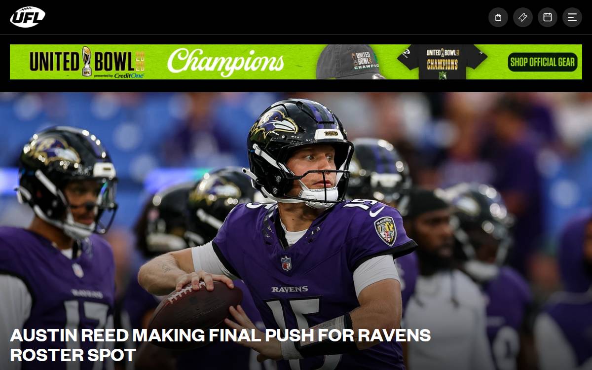 Theufl website preview