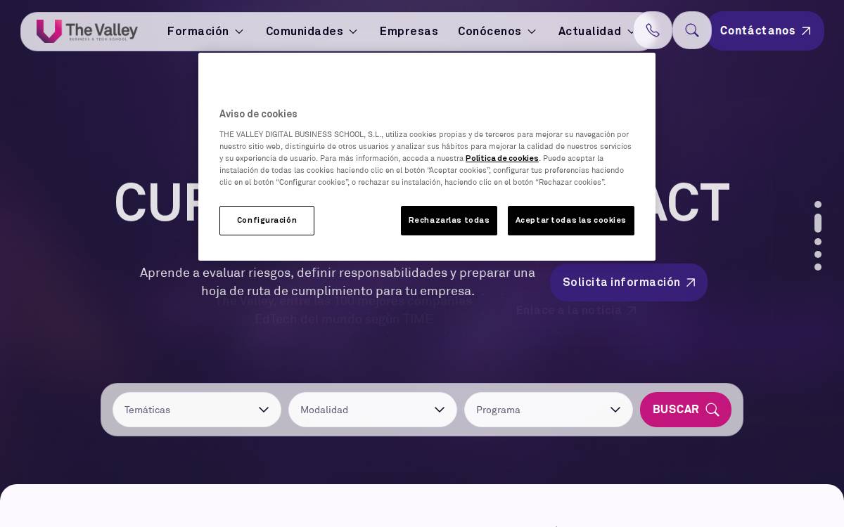 Thevalley website preview