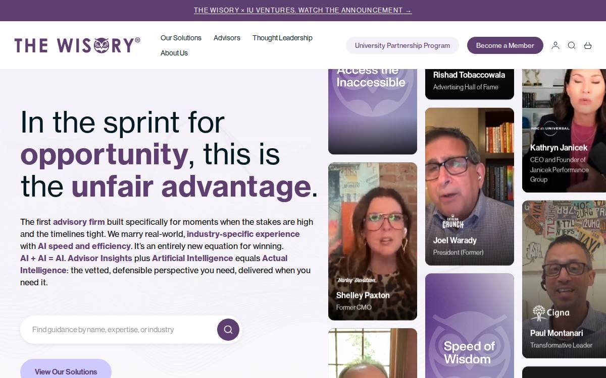 Thewisory website preview
