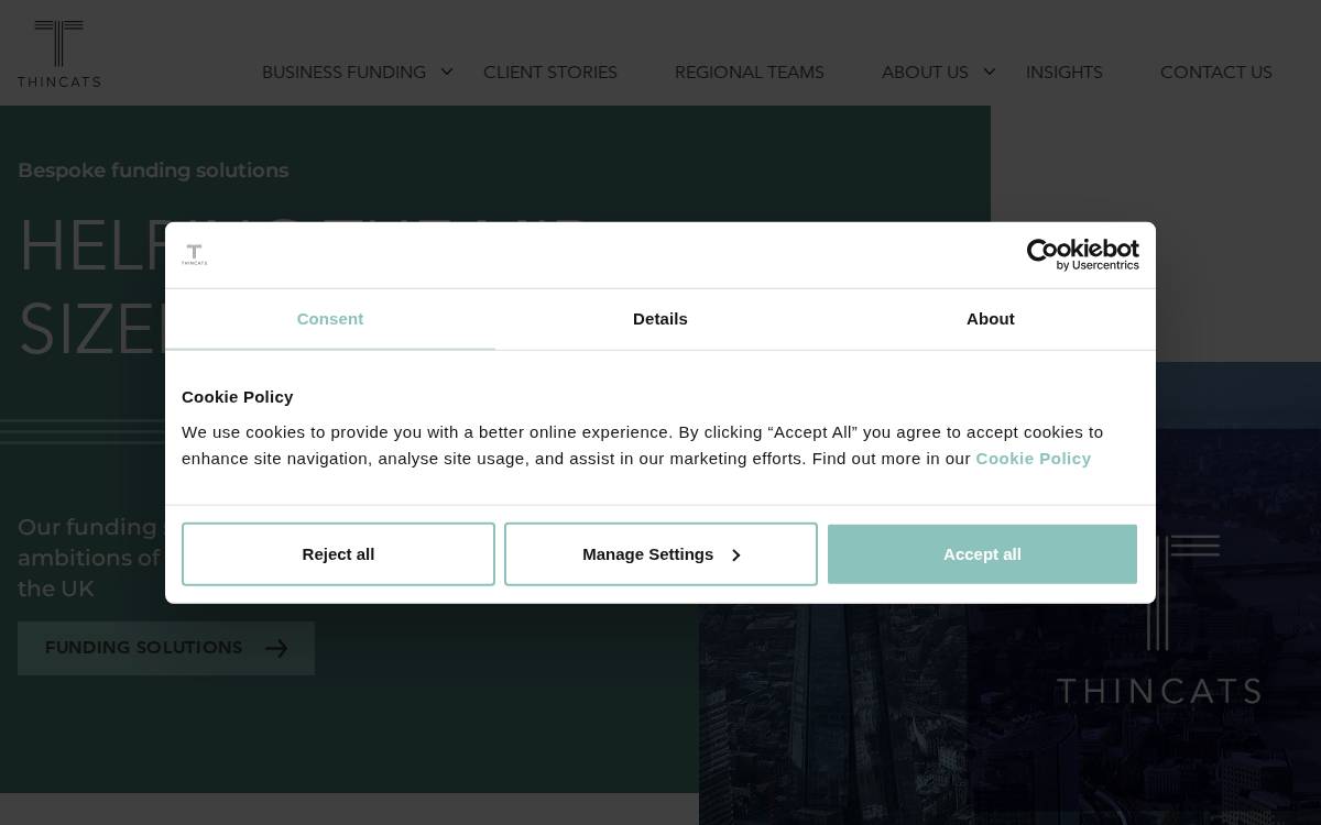 Thincats website preview