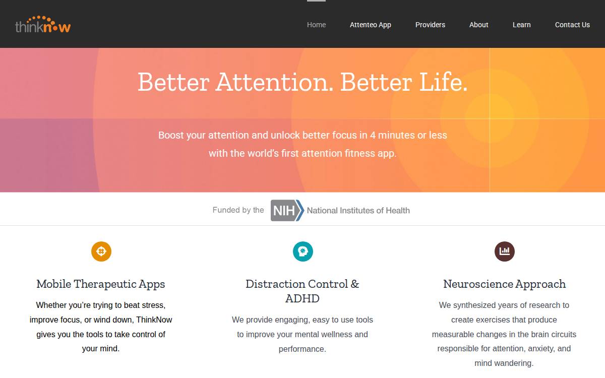 Think Now website preview