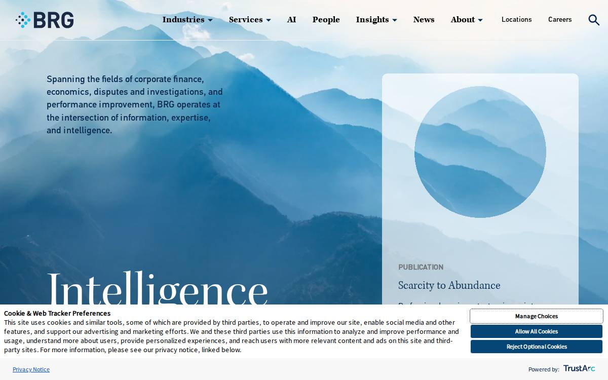 Thinkbrg website preview