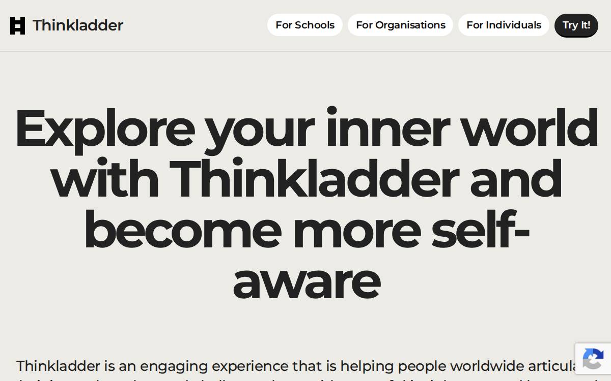 Thinkladder website preview